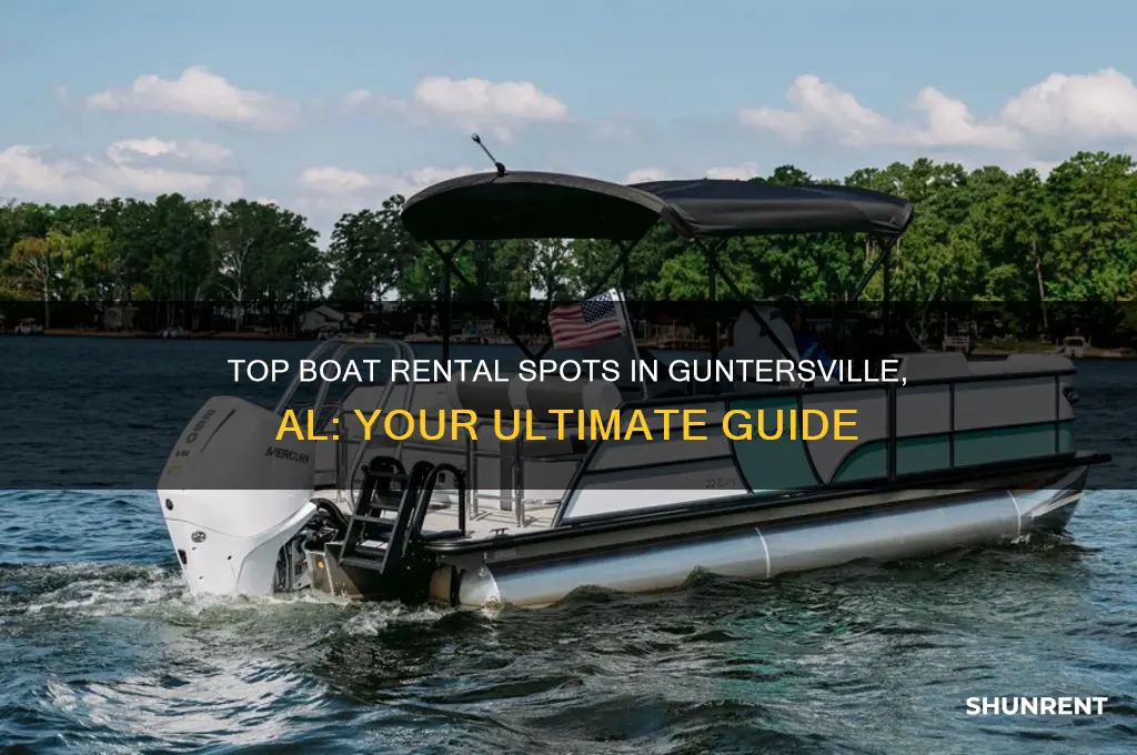 where to rent a boat in guntersville al