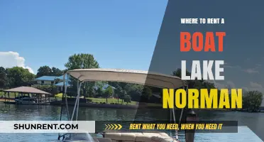 Exploring Lake Norman: Your Guide to Boat Rentals and Lakeside Fun