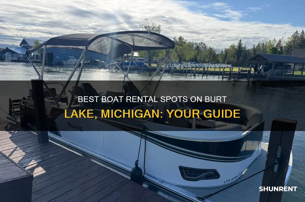 where to rent a boat on burt lake in michigan