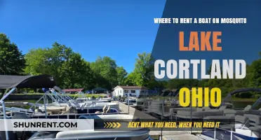 Discover Top Boat Rental Spots on Mosquito Lake, Cortland, Ohio