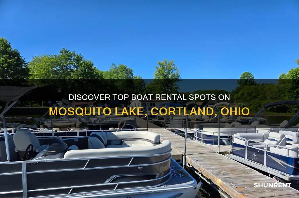 where to rent a boat on mosquito lake cortland ohio