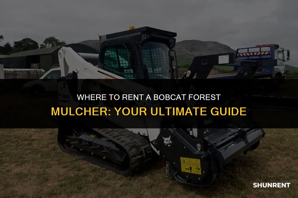 where to rent a bobcat forest mulcher