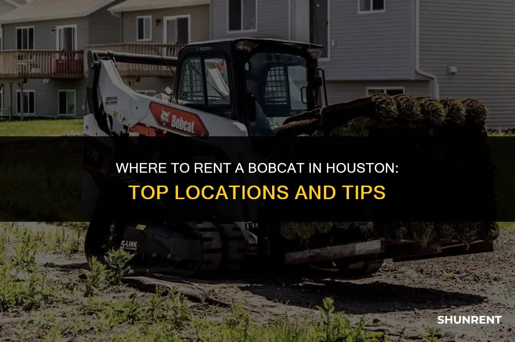 where to rent a bobcat in houston