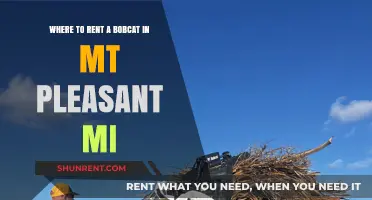 Top Bobcat Rental Options in Mt Pleasant, MI: Your Guide