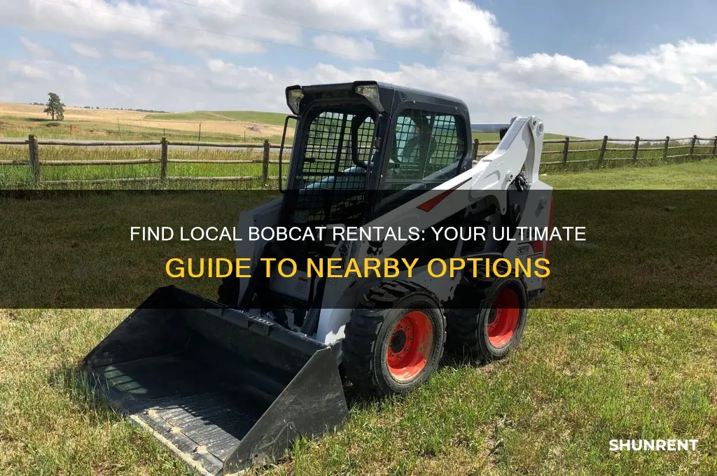 where to rent a bobcat in my area