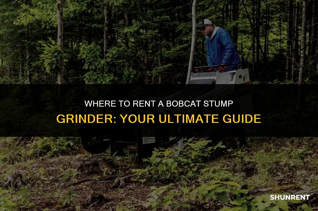 where to rent a bobcat stump grinder