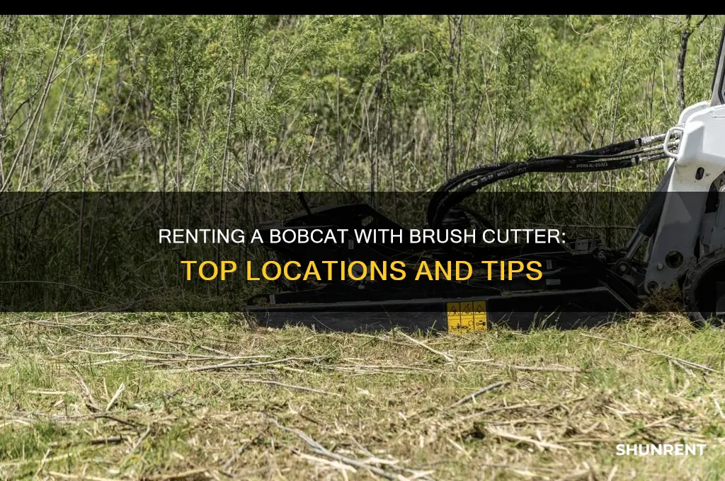 where to rent a bobcat with a brush cutter