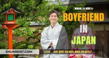 Exploring Options: Renting a Boyfriend in Japan
