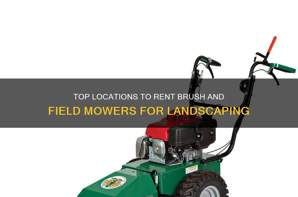 where to rent a brush and field mower