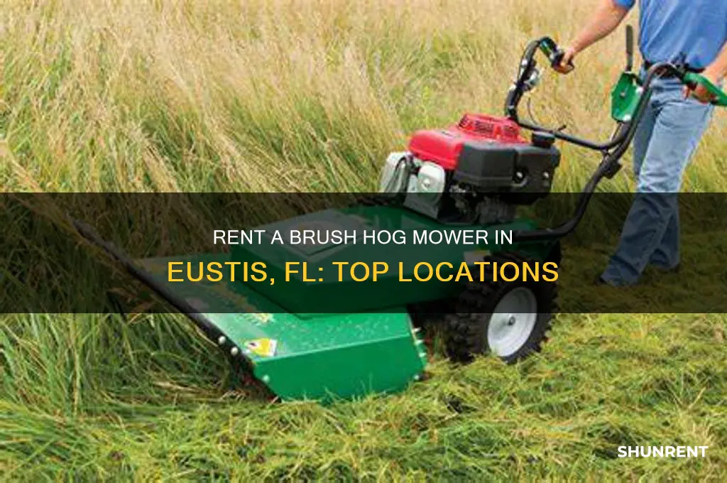 where to rent a brush hog mower in eustis fl