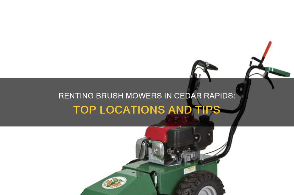 where to rent a brush mower cedar rapids