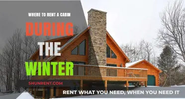 Cozy Winter Getaways: Top Cabin Rental Destinations for a Snowy Escape