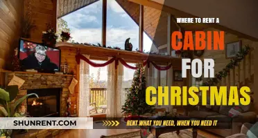 Festive Retreats: Top Cabin Rentals for a Cozy Christmas Getaway