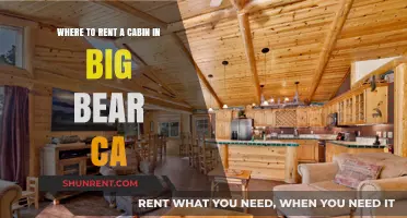 Top Big Bear CA Cabin Rentals for Your Perfect Mountain Getaway