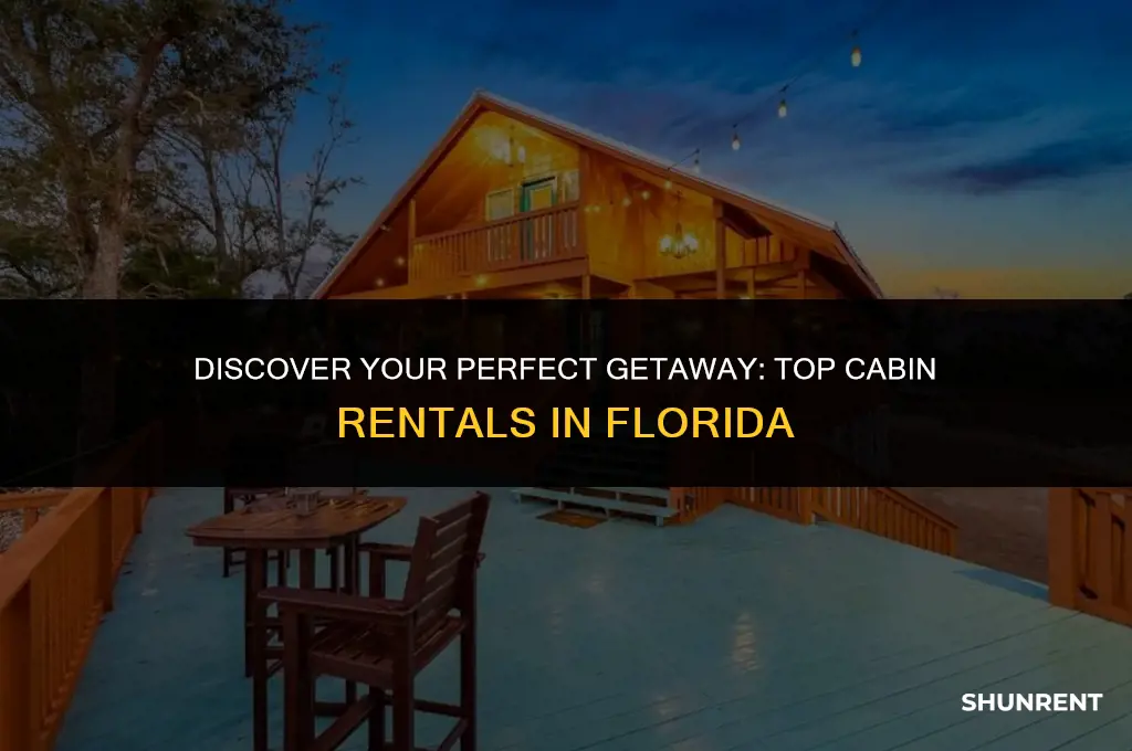 where to rent a cabin in florida