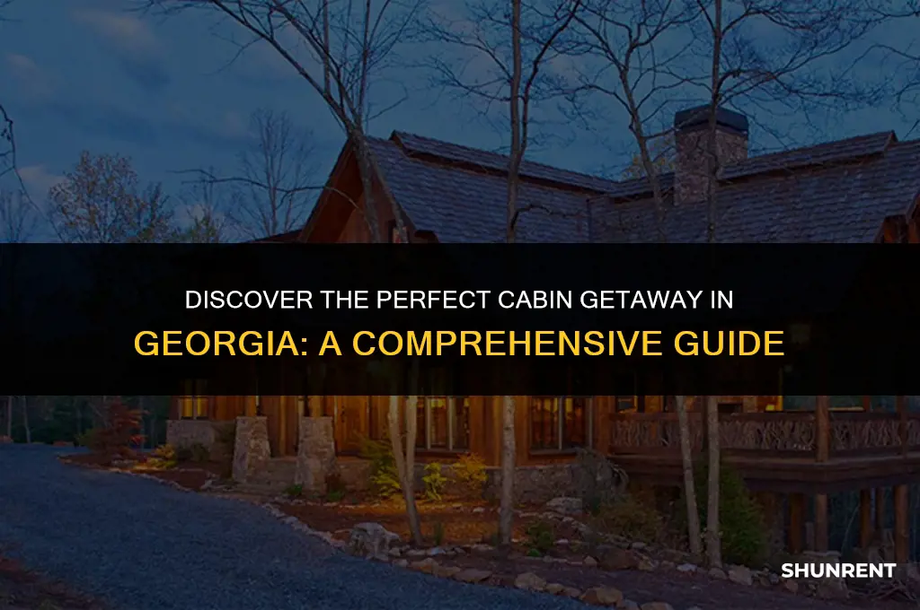 where to rent a cabin in ga