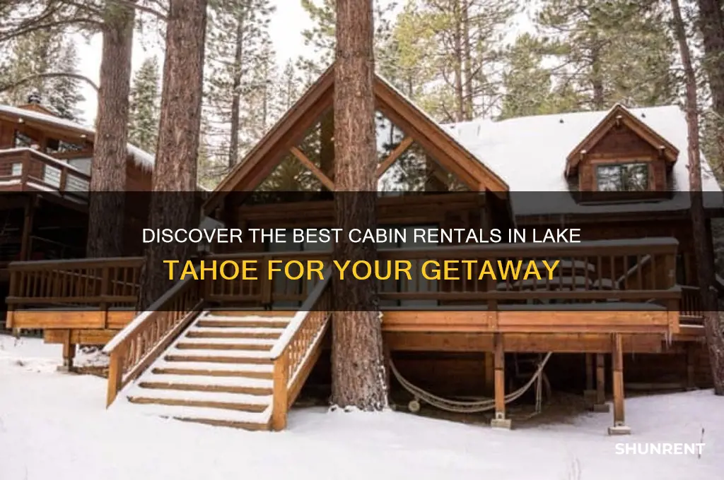 where to rent a cabin in lake tahoe