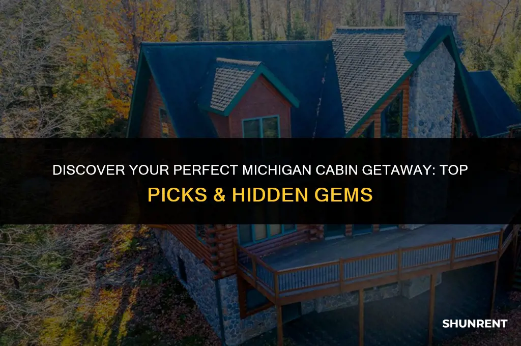 where to rent a cabin in michigan