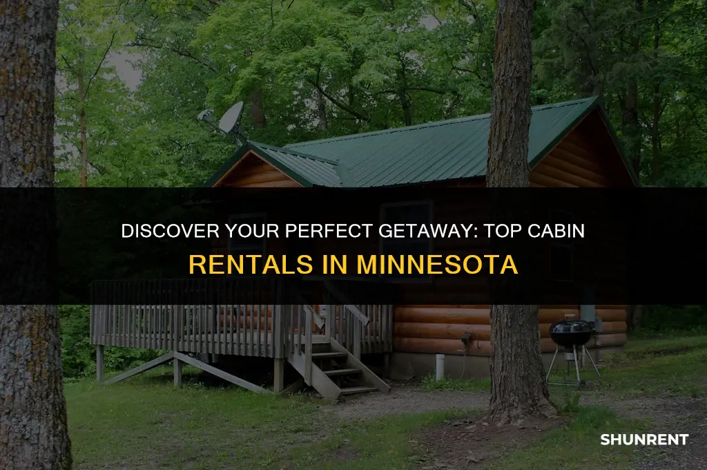 where to rent a cabin in minnesota