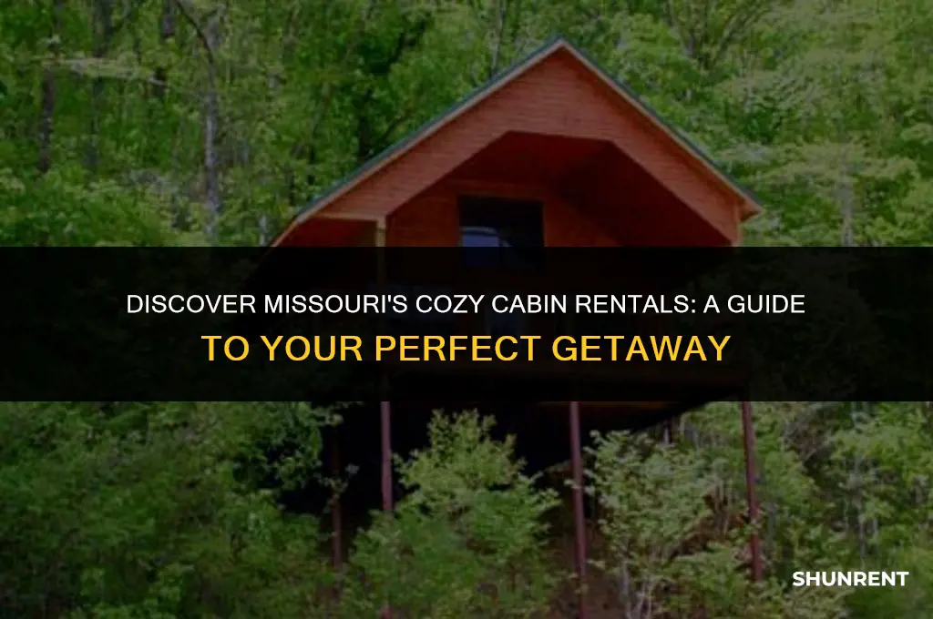 where to rent a cabin in missouri
