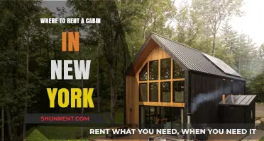 Discover Cozy Cabin Rentals in New York's Scenic Getaways