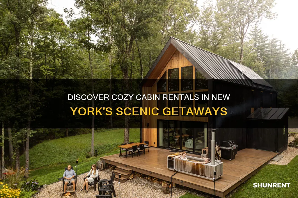 where to rent a cabin in new york
