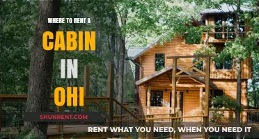 Discover Ohio's Cozy Retreats: Top Cabin Rentals for Your Next Getaway