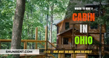 Discover Ohio's Cozy Retreats: Top Cabin Rentals for Your Next Getaway
