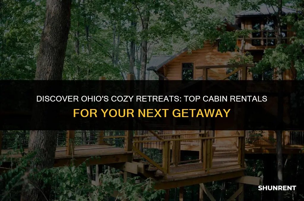 where to rent a cabin in ohio