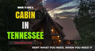 Discover Your Perfect Tennessee Cabin Getaway: A Comprehensive Guide