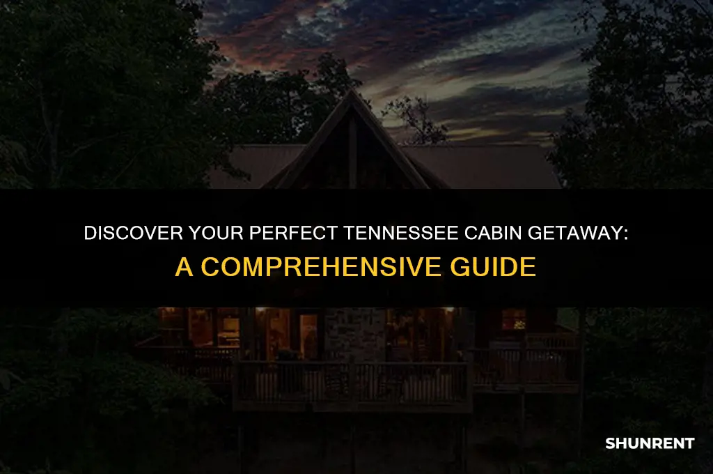 where to rent a cabin in tennessee