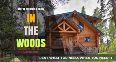 Escape to Nature: Top Spots to Rent a Cozy Woodland Cabin