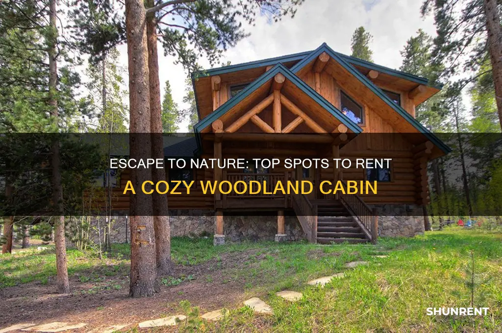 where to rent a cabin in the woods