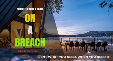 Best Beachfront Cabin Rentals: Top Spots for Your Coastal Getaway