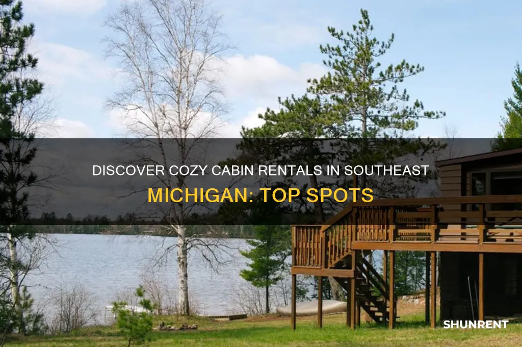 where to rent a cabins in southeast michigan