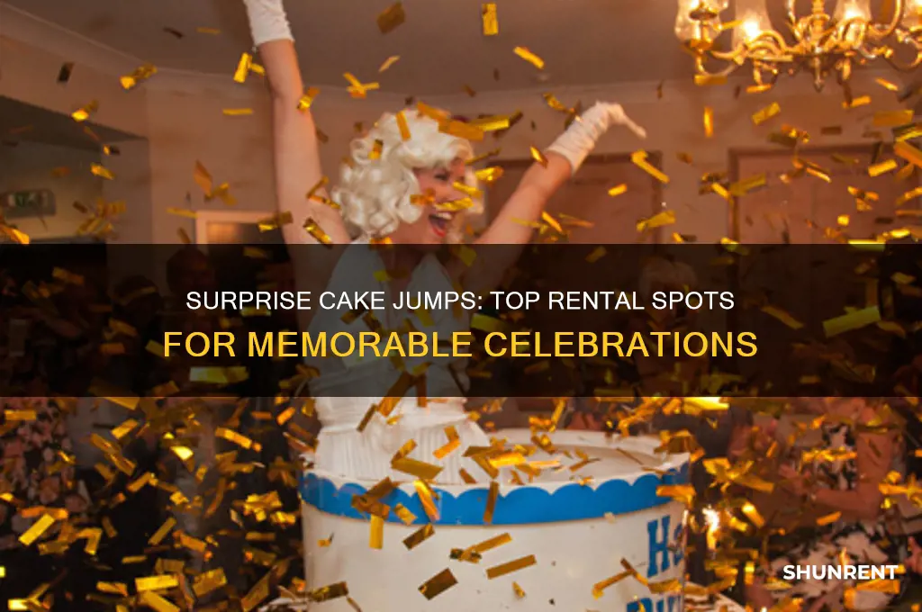where to rent a cake to jump out of