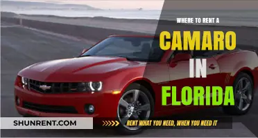 Rev Up Your Florida Adventure: Where to Rent a Camaro