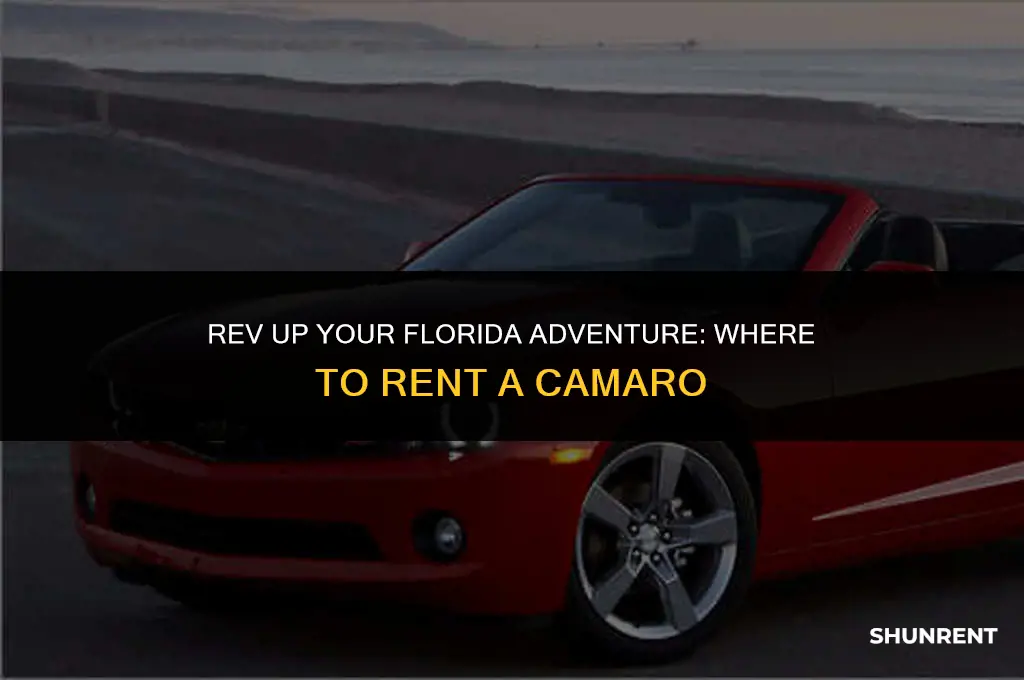 where to rent a camaro in florida