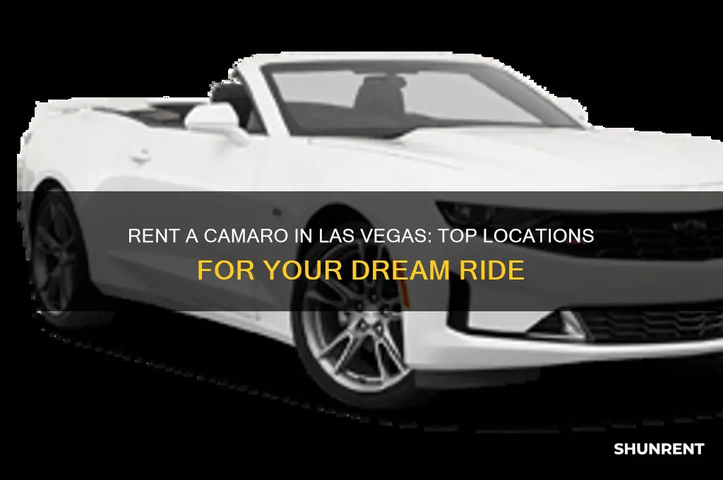 where to rent a camaro in las vegas