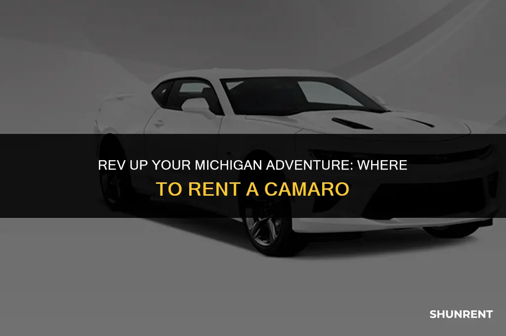 where to rent a camaro in michigan