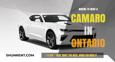 Rev Up Your Ontario Adventure: Where to Rent a Camaro