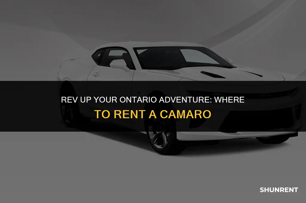 where to rent a camaro in ontario