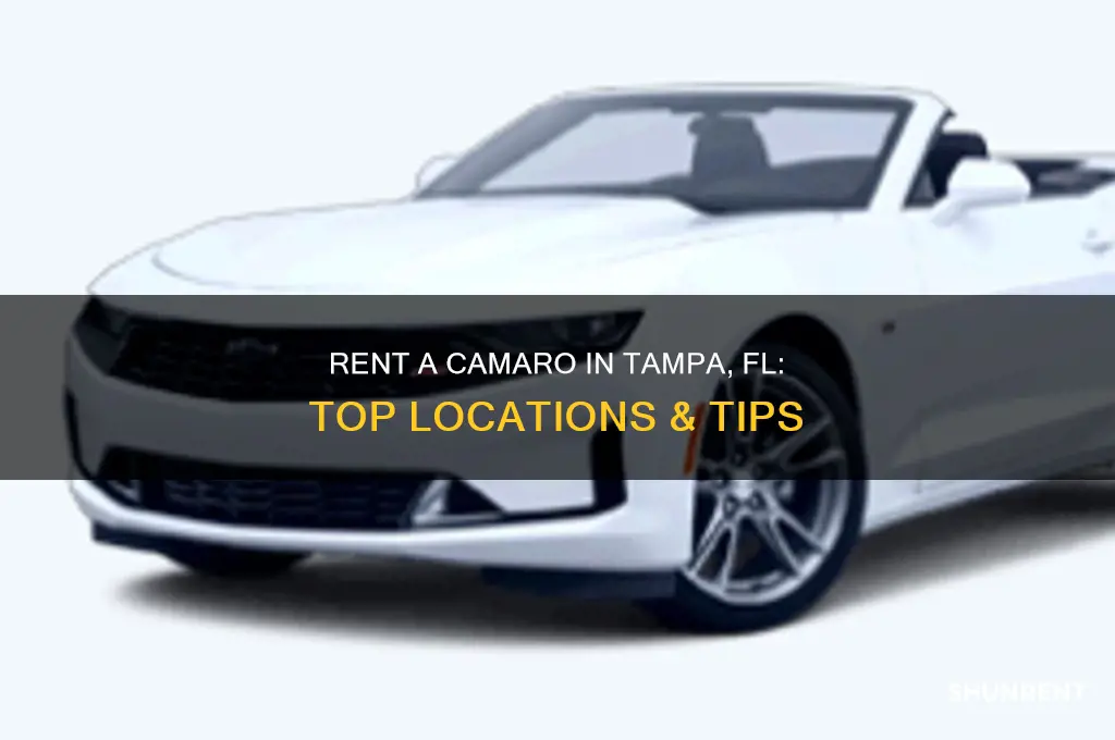 where to rent a camaro in tampa fl