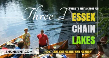 Best Canoe Rental Spots for Exploring Essex Chain Lakes