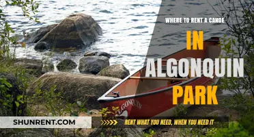 Best Canoe Rental Spots in Algonquin Park: Your Ultimate Guide