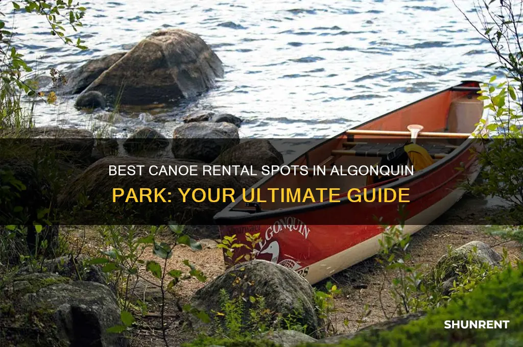 where to rent a canoe in algonquin park