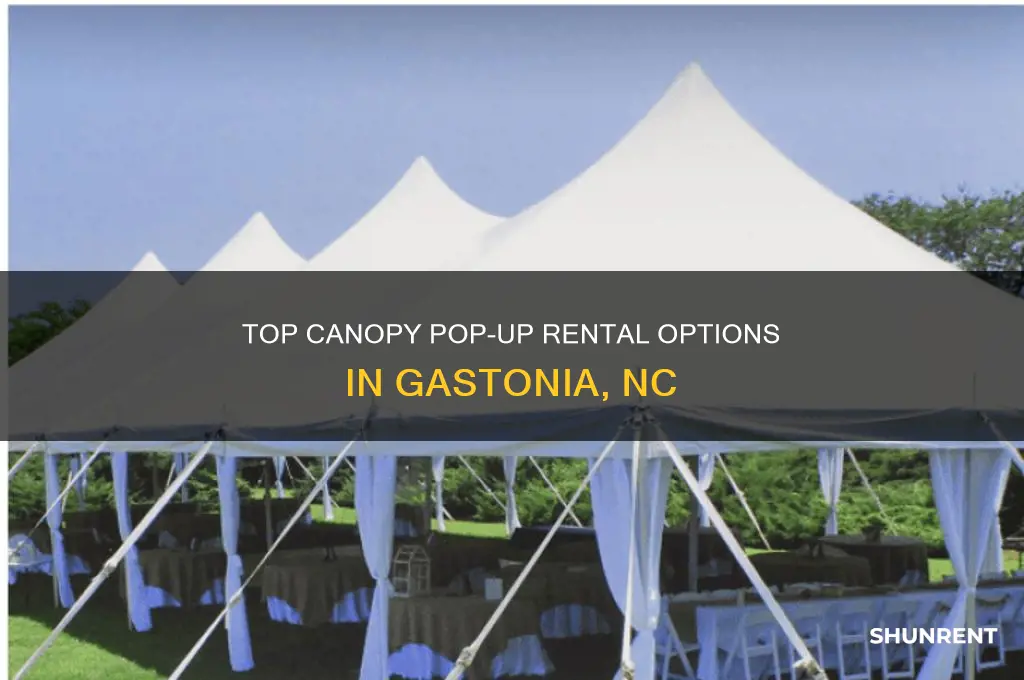 where to rent a canopy pop up in gastonia nc