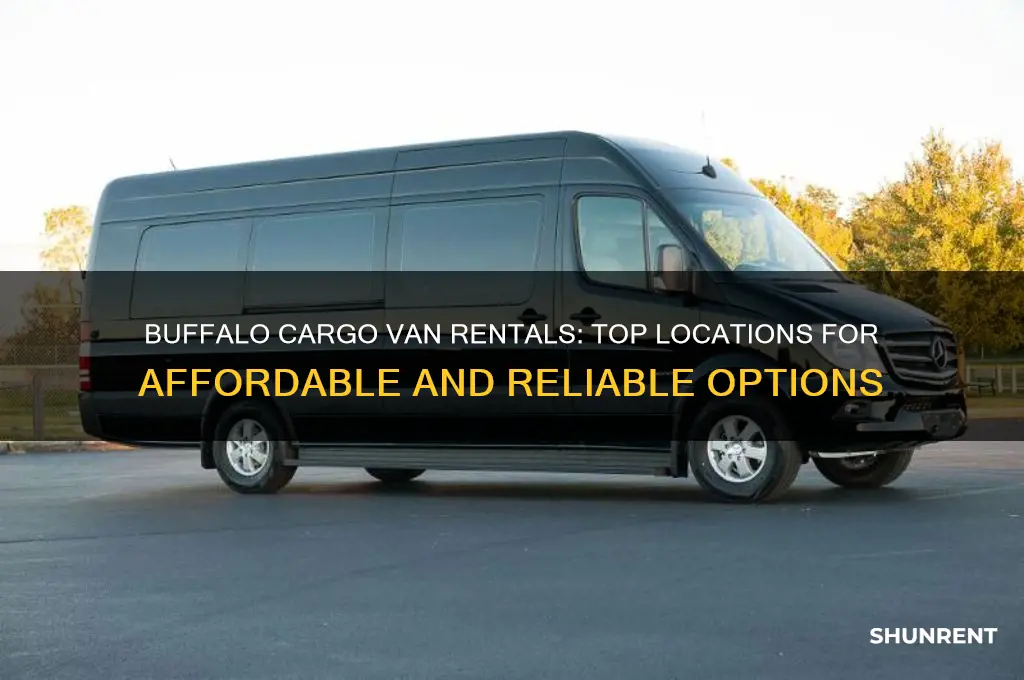 where to rent a cargo van in buffalo