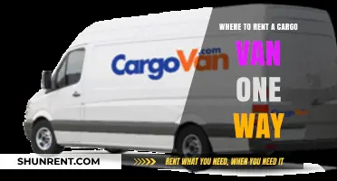 Top One-Way Cargo Van Rental Options for Your Next Move