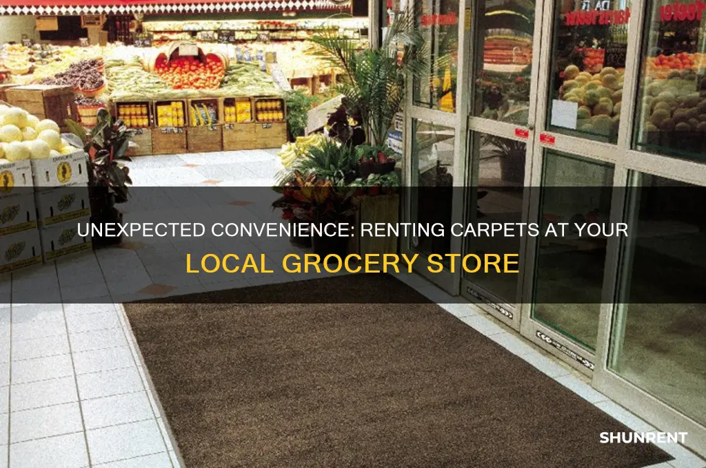 where to rent a carpet at a grocery store